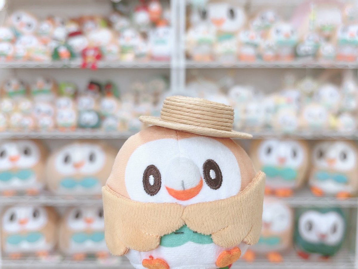 mofupoke722's tweet photo. 7/22は #モクローの日 !!!!!!!!!!
ずっとモクローが大好き🦉🫶 https://t.co/AVUTm0RTc6