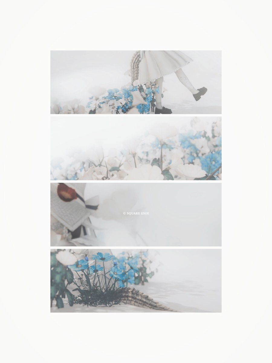 She1s__'s tweet photo. ⠀
花芒 ￤ #SharrowVega https://t.co/quHyAV6pjy