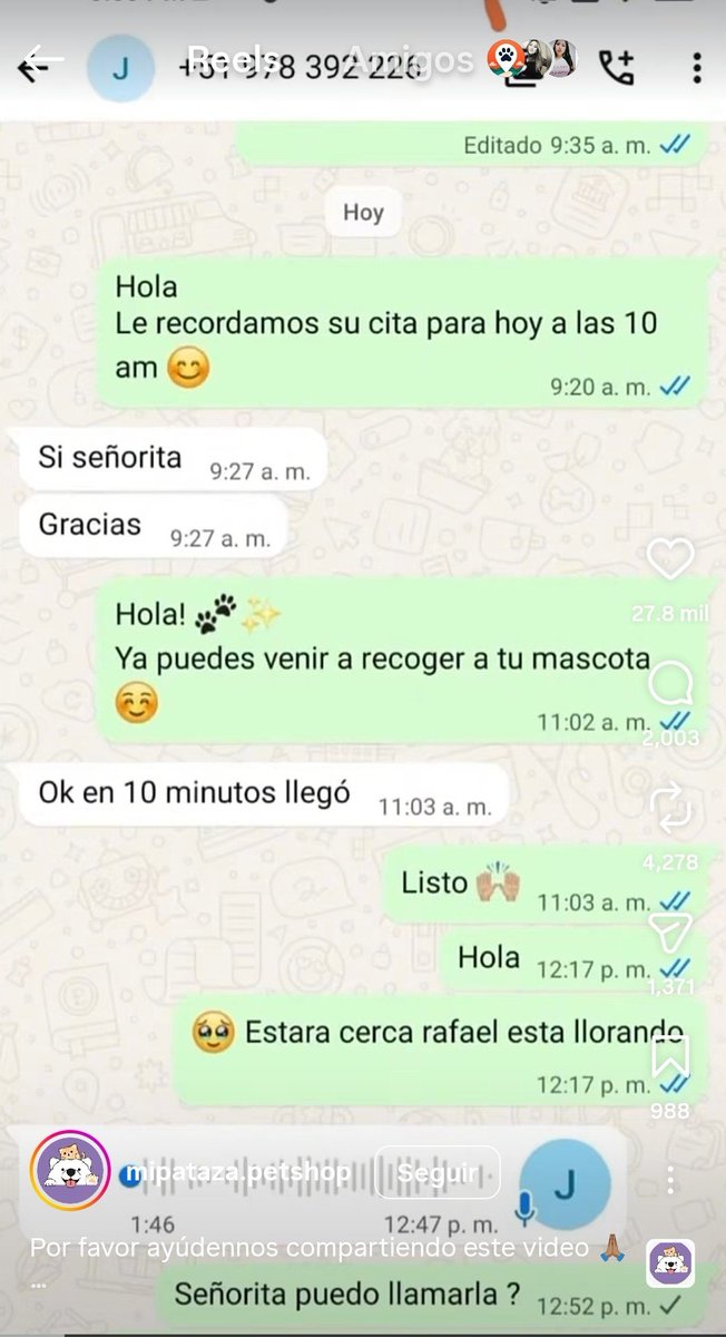 danegamez's tweet photo. Indignante!!! Sujeto abandonó a su mascota en una peluquería para perros en Comas. 
Manda un audio diciendo que ya no pueden tenerlo y que ellos se hagan cargo 😡
Aquí el video con la denuncia:

https://t.co/0mhg9gsfqN https://t.co/XvzIFR3qpJ
