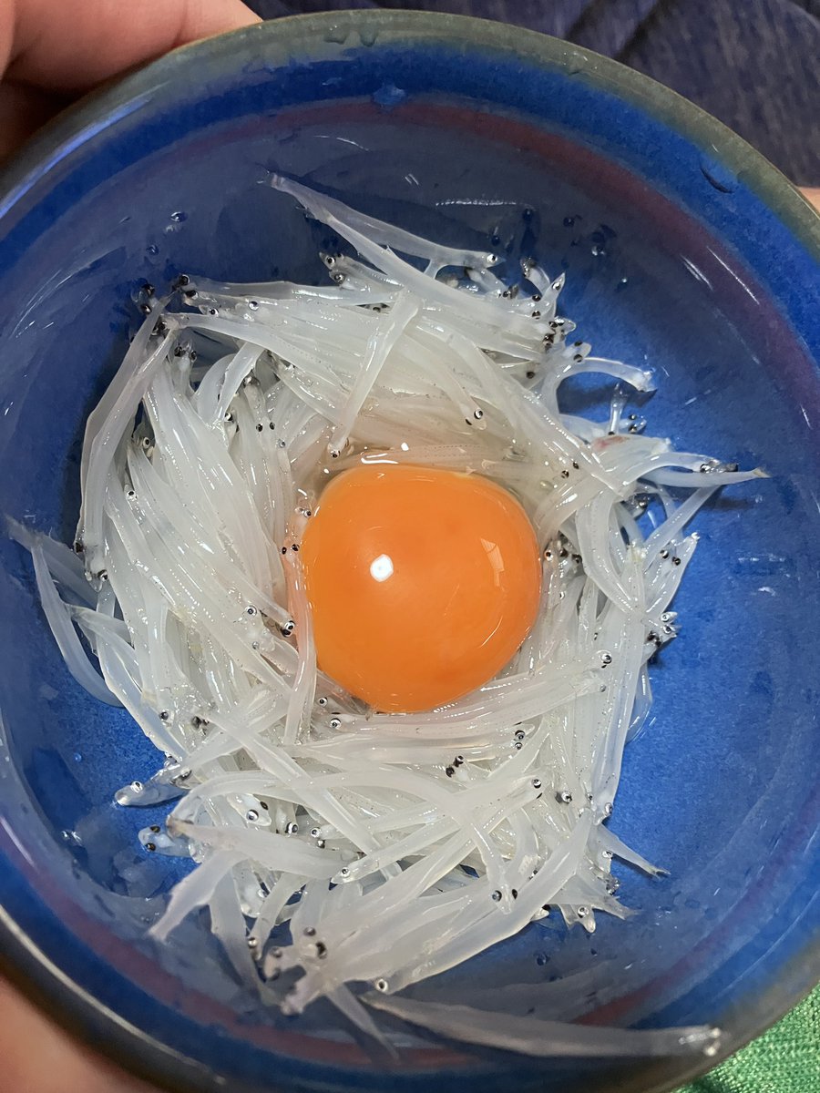 murakawadandy's tweet photo. 今年も霞ヶ浦トロール漁解禁！🎣
毎年恒例、漁初日に「なーちょ船長」の船へ同行🚤
真っ暗な霞ヶ浦を走る時間は、何度行ってもワクワク。
獲れたてシラウオも最高でした😋
今年もありがとうございました！
年末まで安全第一で👍
#霞ヶ浦 #シラウオ #トロール漁 https://t.co/sCcQSOhbxB