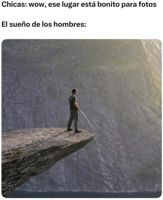 Alphen_Tiessen's tweet photo. Y literal lo he hecho https://t.co/uvtpcJcb6b