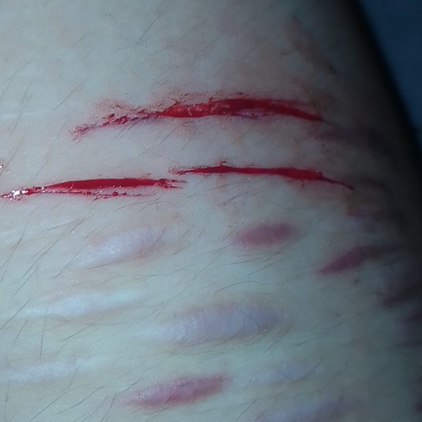 velsc4ls's tweet photo. since i couldn't post these on main I'll post them here

ALL FAKE, SFX MAKEUP HORROR MAKEUP https://t.co/3ARP95ktKA