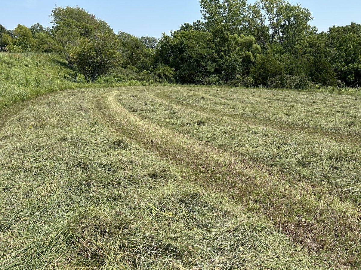hvivani's tweet photo. Native Praire Grass mowing #bailing #VLRanch https://t.co/Ji7ht9s3a4