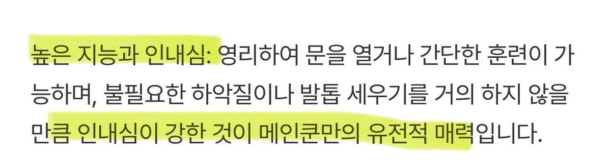 이게그거냐? 래퍼남친? tweet media