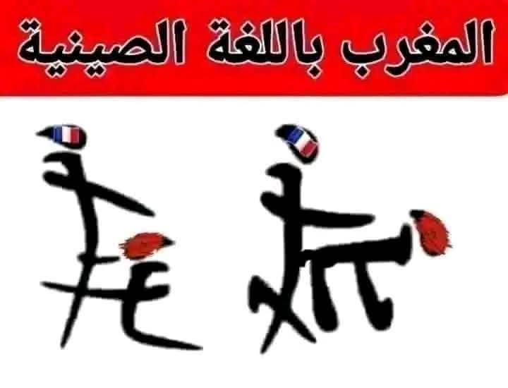 MorroKig's tweet photo. @ZahratAlbnafseg الخورم المغربي بعد الباعابووص 🖕😂 https://t.co/EcGx2dVNNj