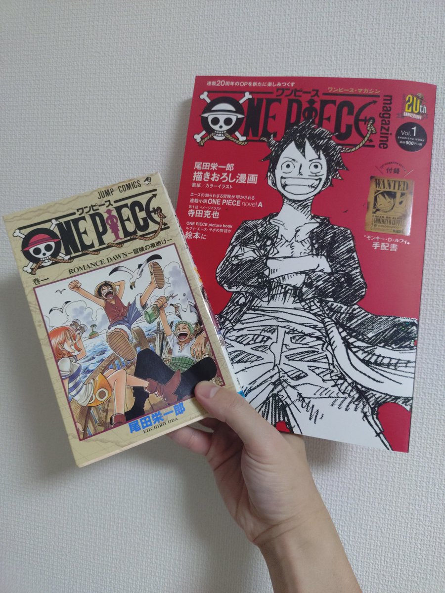 今日はONE PIECEの日。 学生時代に出逢って29年。 あの日からずっと