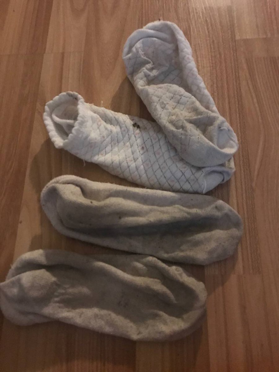 Nighttmare36's tweet photo. 🧦🧦🐶🐶 https://t.co/N6IecrRa42
