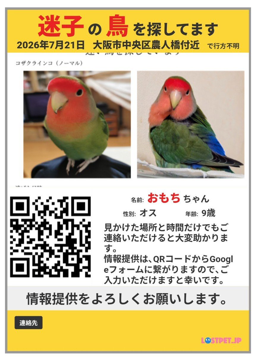 omochi_bird2026's tweet photo. 🚨迷い鳥を探しています🚨
2026年7月21日17時頃、大阪市中央区農人橋付近でコザクラインコの「おもち」 を探しています。
小さな情報でも構いません。DM、もしくは画像のQRコードより情報提供お願いします…！
#迷い鳥 #迷子鳥 #コザクラインコ #インコ #大阪市 #大阪市中央区 #農人橋 #拡散希望 https://t.co/eufuOeANhc