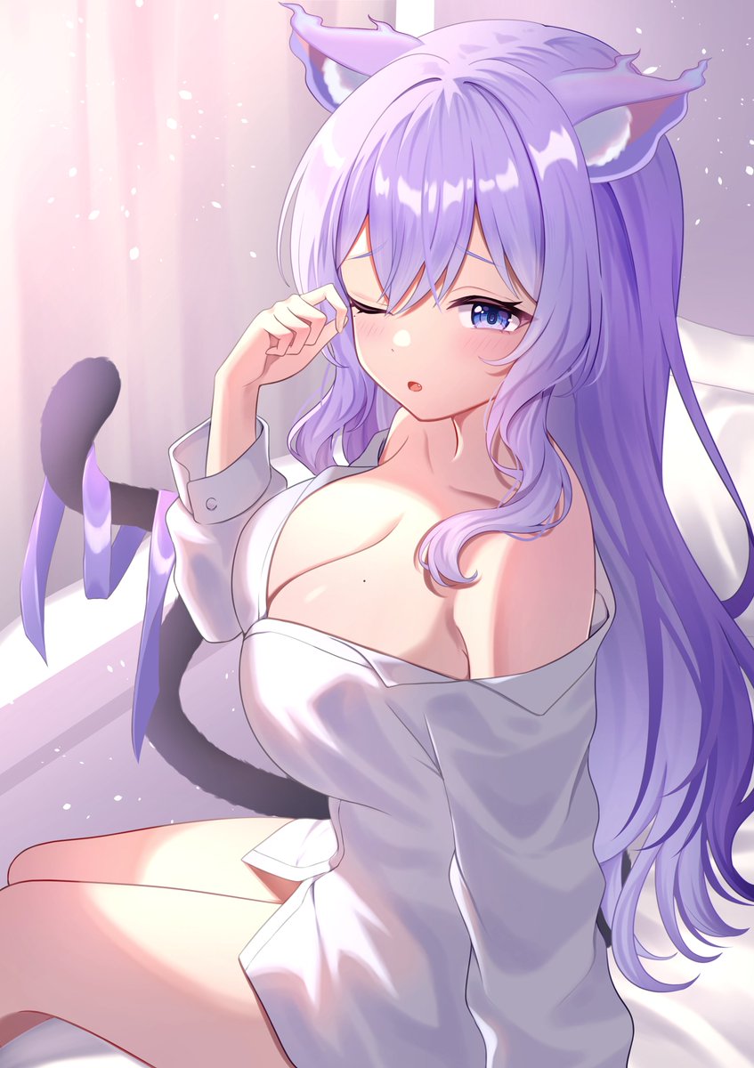 o72nonibitashi's tweet photo. おはよー💜

よく寝れた？ https://t.co/bkM9A5Iriu