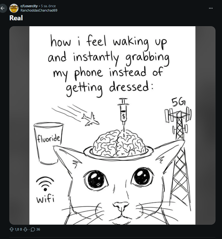 slim shady /v2 tweet media
