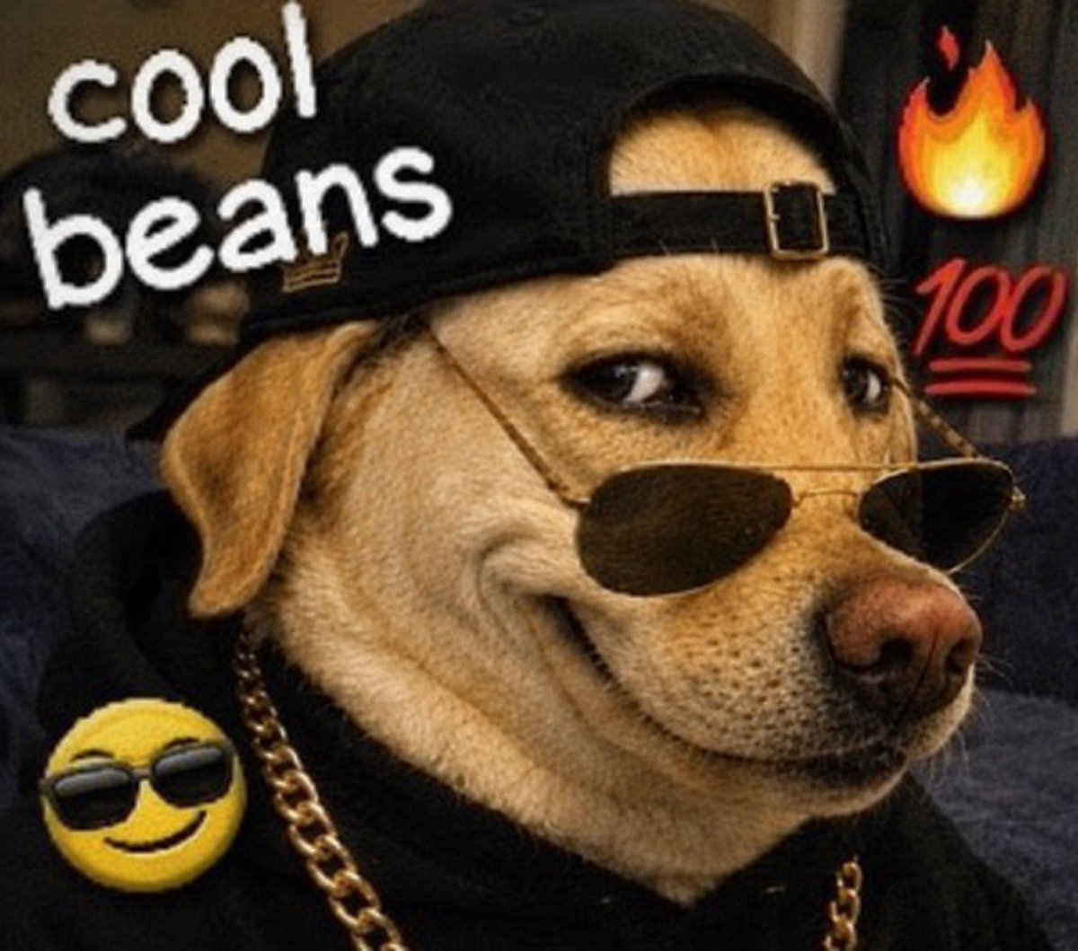 beans tweet media