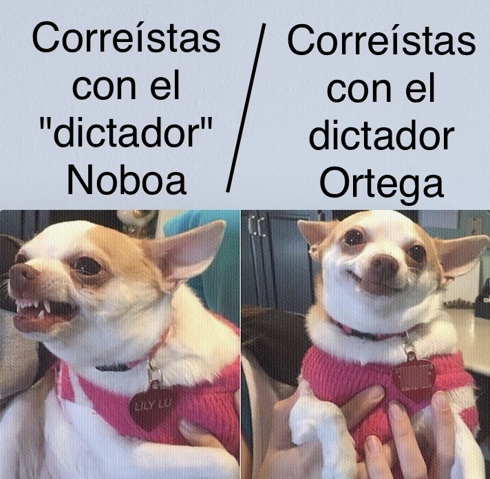 GeorgeR23036341's tweet photo. La doble moral del GDO narcorobolucionario @RC5Oficial 🤮 https://t.co/wYXN10jJ6Z