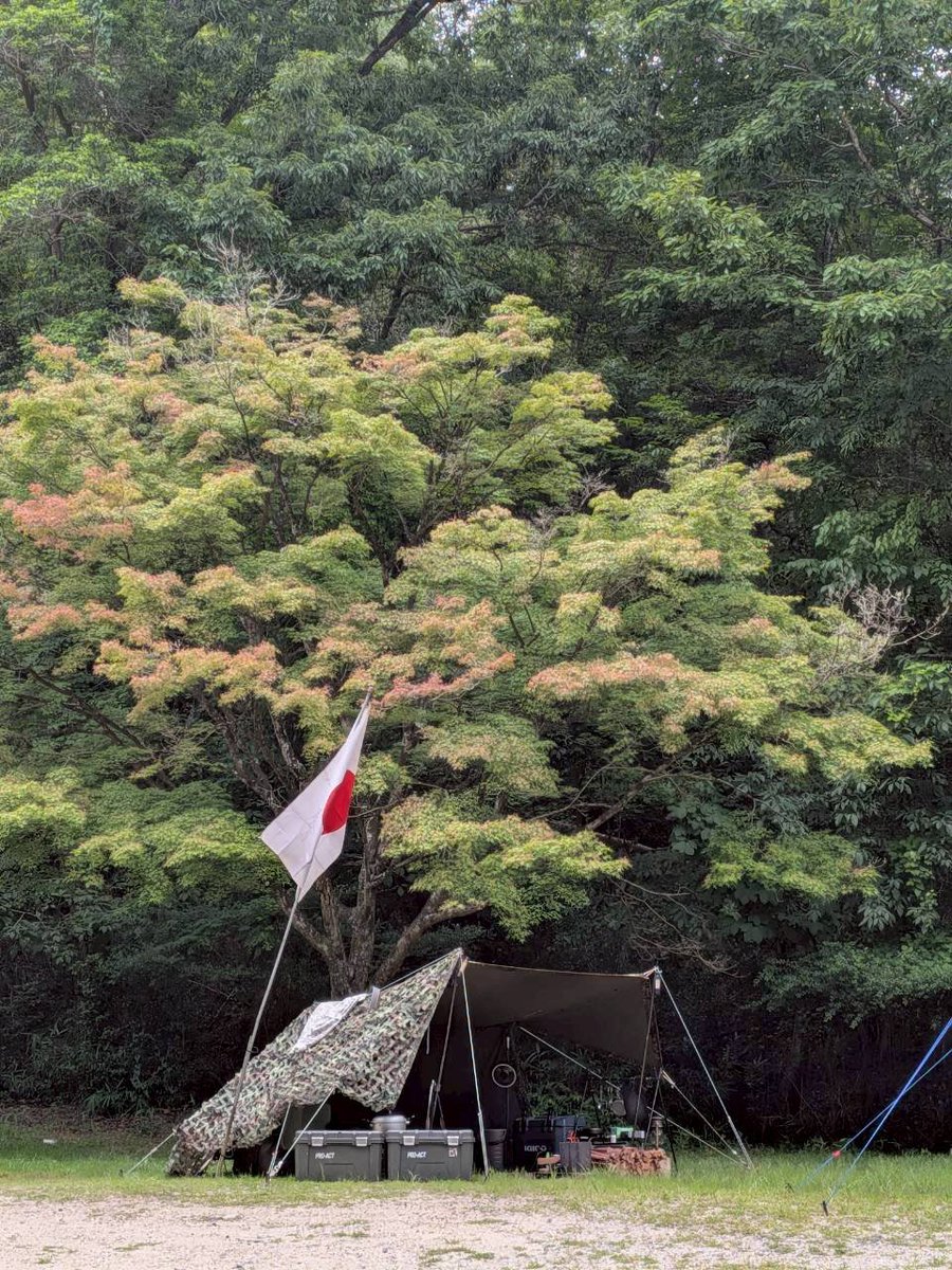 osaka_shibucho's tweet photo. 夏はいわゆるパップテントです。

風通しが良い
裾を上げればさらに良い
軍幕は遮光率が高い
隙間はバラキューで遮光

さあ皆様もご一緒に♪

#日本単独野営協会
#ソロキャンプ
#来た時よりも美しく
#チェックアウトスキャン https://t.co/MrbZgz0Fns