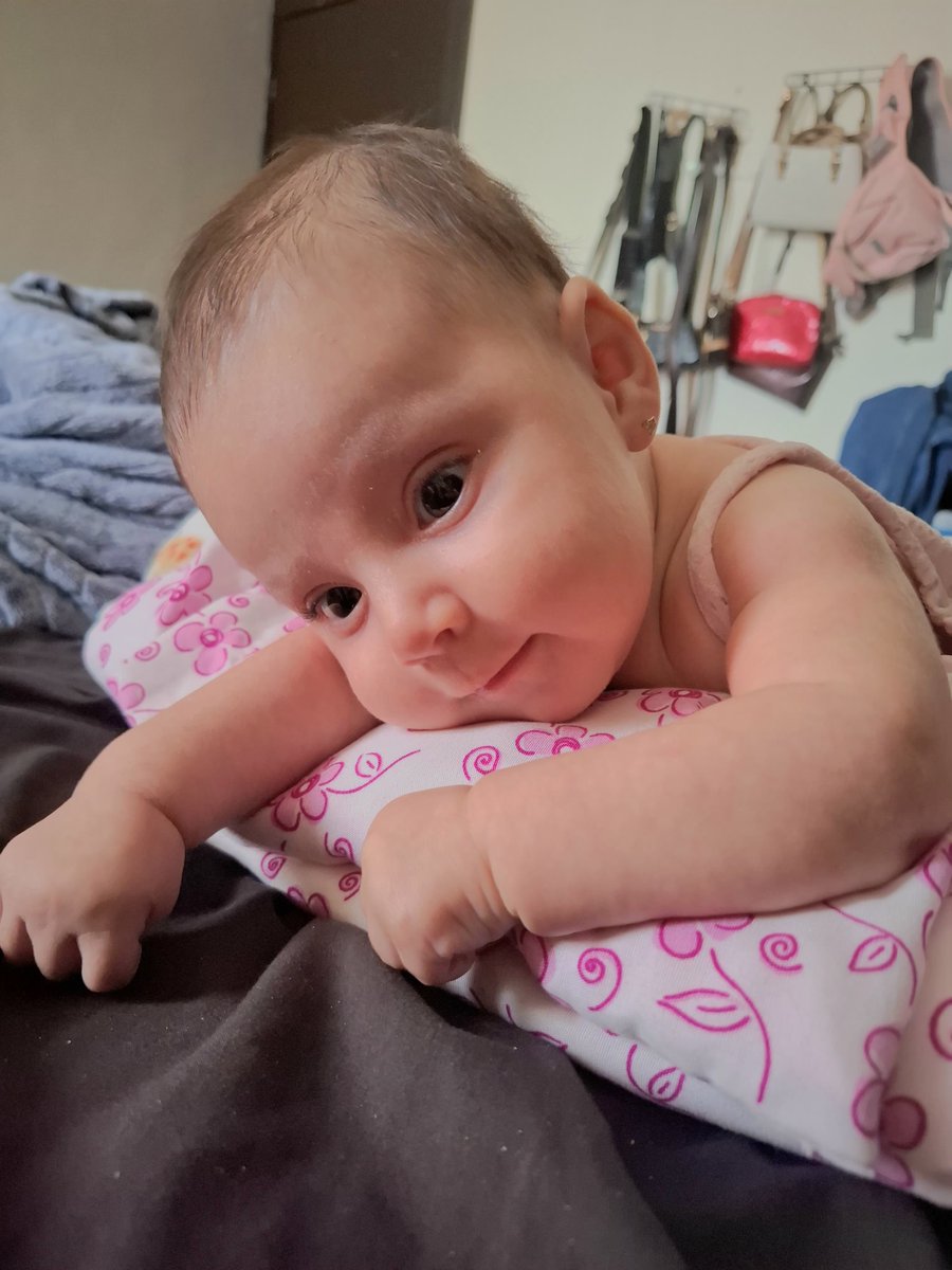 RamosMaria1810's tweet photo. Mi gordita hemocha https://t.co/OLM7qcns97
