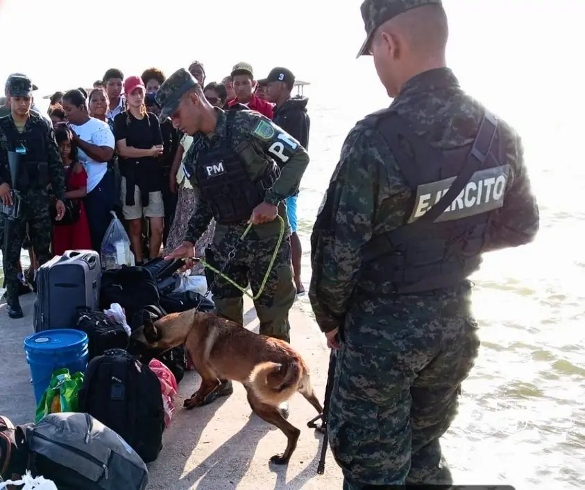 NMoskitiahn's tweet photo. #OperacionesPMOP |
Las Fuerzas Armadas de Honduras, a través de la Policía Militar del Orden Público (#1BCPMOP), realizan inspecciones preventivas con binomios caninos a los equipajes de los pasajeros que viajan en las diferentes lanchas que arriban al muelle de Puerto Lempira. https://t.co/ei7hXEj5X0