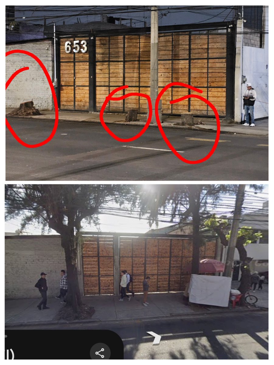 JoJaNaTa's tweet photo. @supercivicosmx @BJAlcaldia @FiscaliaCDMX @Alcaldia_Coy Eso mismo pasó en el predio #653 de Av. Añil, en alcaldía Iztacalco, los mismos trabajadores de la alcaldía en la madrugada tiraron estos árboles. Se levantó en abril de este año, el reporte en SUAC y siguen sin responder https://t.co/Y3LFTOeubr