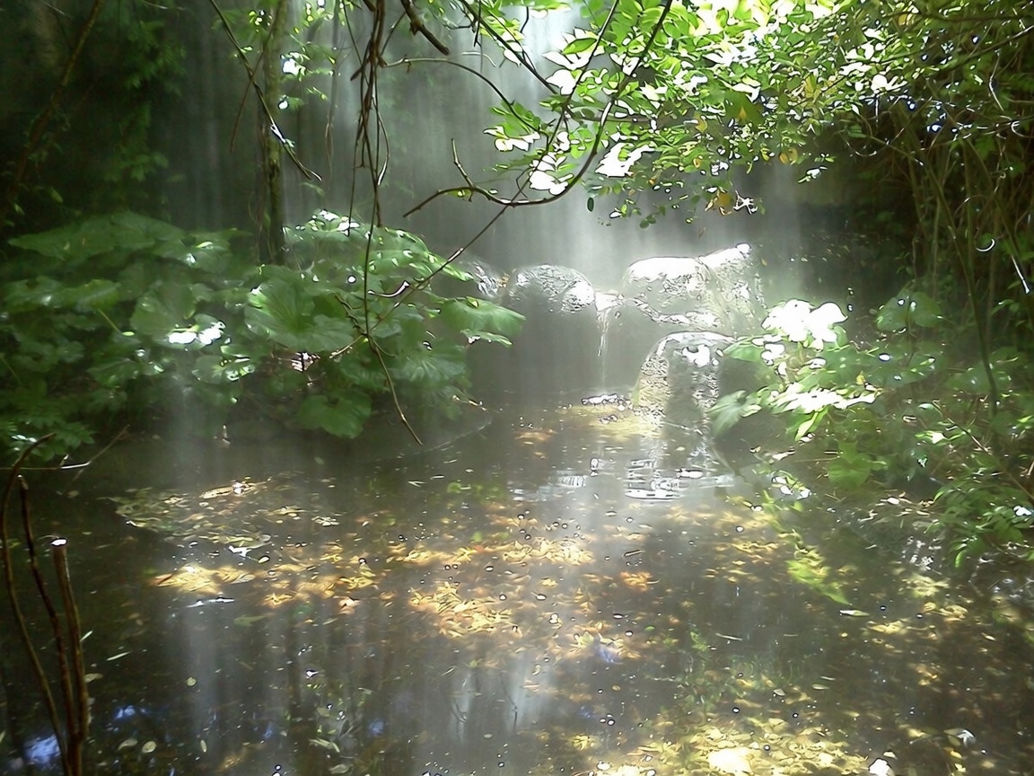 greenvibe's tweet photo. waters aesthetic https://t.co/ZOOHSdn4hm