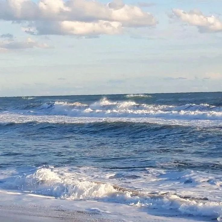 petalesblancs's tweet photo. ☆🐚∴｡* ･ﾟ📷*｡★･📷 📷☆｡★　･ 　　* ☆ ｡･ﾟ https://t.co/mnkTcUWKGs
