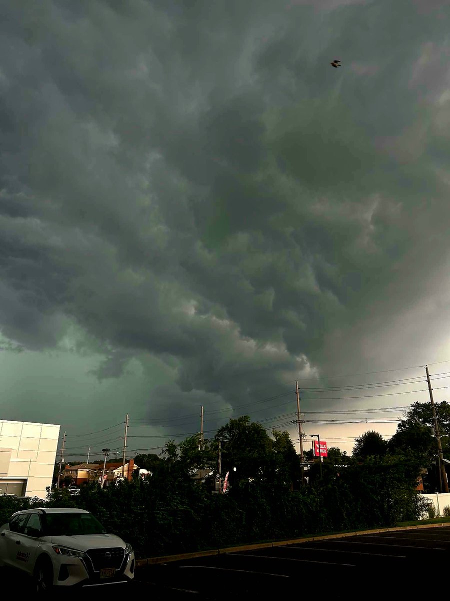 TJ Hoffer ⛈️🌪❄️ tweet media