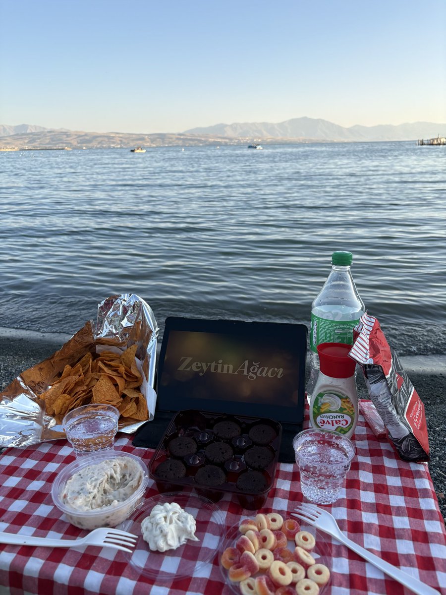 melisice_'s tweet photo. Benim huzur anlayışım bu abi https://t.co/HJTCRram4V