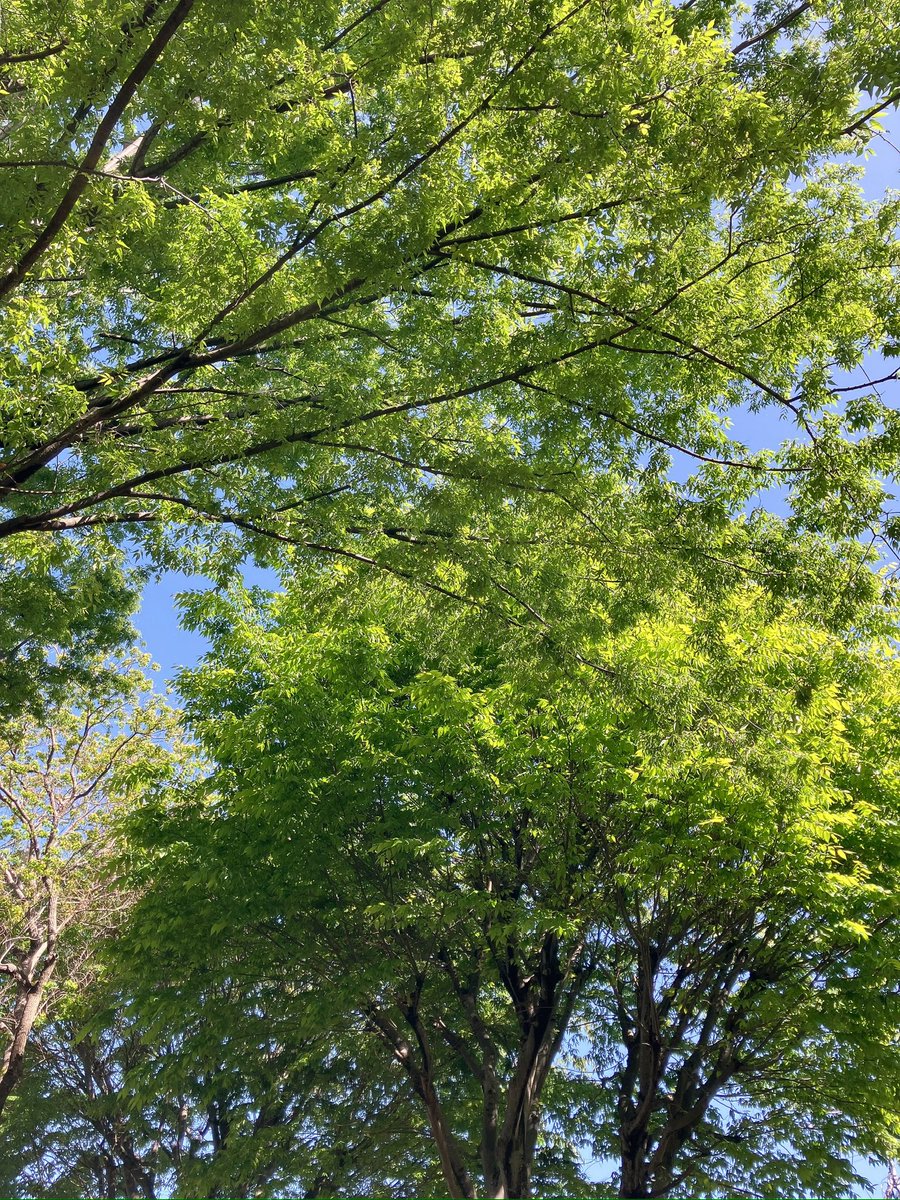 0lS7sofLao80525's tweet photo. 息子が風邪をひいてるから
しばらくはおうち時間。

朝から靴4足洗った🤣

今日ものんびり過ごそう🌱

#小学生
#ママ
#専業主婦
#お小遣い https://t.co/CtcyskASCs