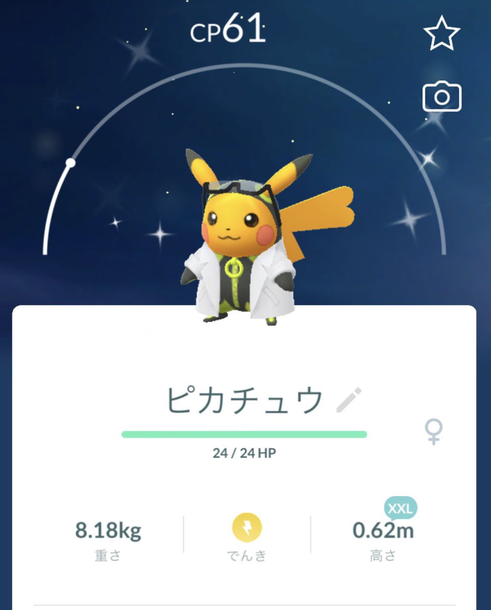 ポケポケʕ•ᴥ•ʔ tweet media