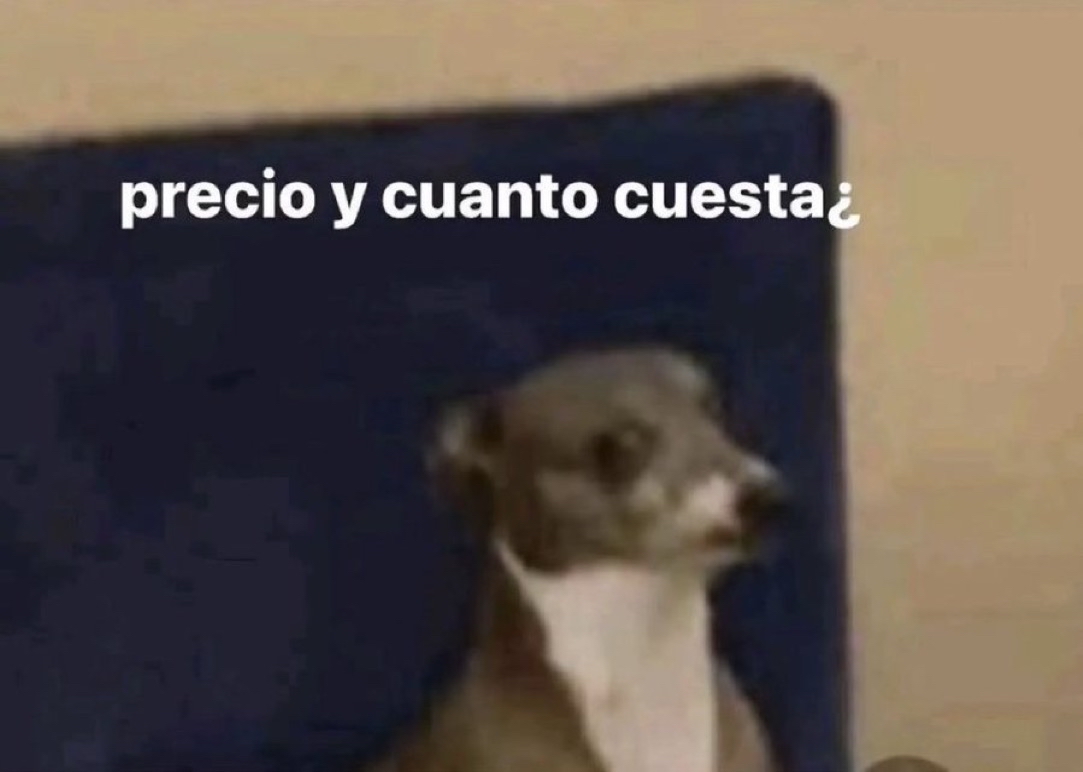 Guarromantico_'s tweet photo. *Veo algo que me gusta*

– Yo sin dinero: https://t.co/euf52OXvwU
