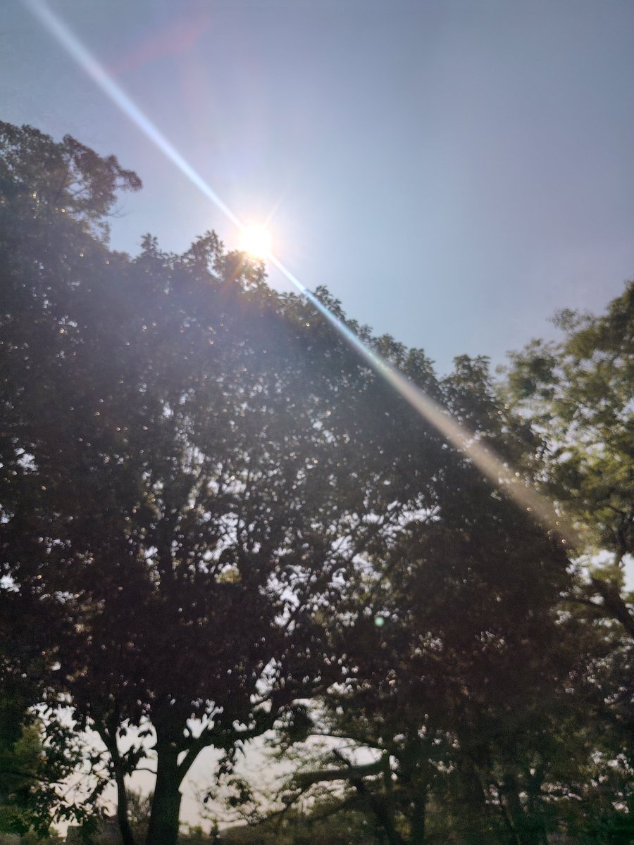 CLIP__CUT's tweet photo. おはようございます☀

本日も
朝から
キケンな暑さですが
ご都合が
よろしければ
ご来店おまちしています✂️

＃武蔵小山 ＃品川区 ＃目黒区 ＃理容美容 ＃カット #西小山 https://t.co/uPEsniG2Hi