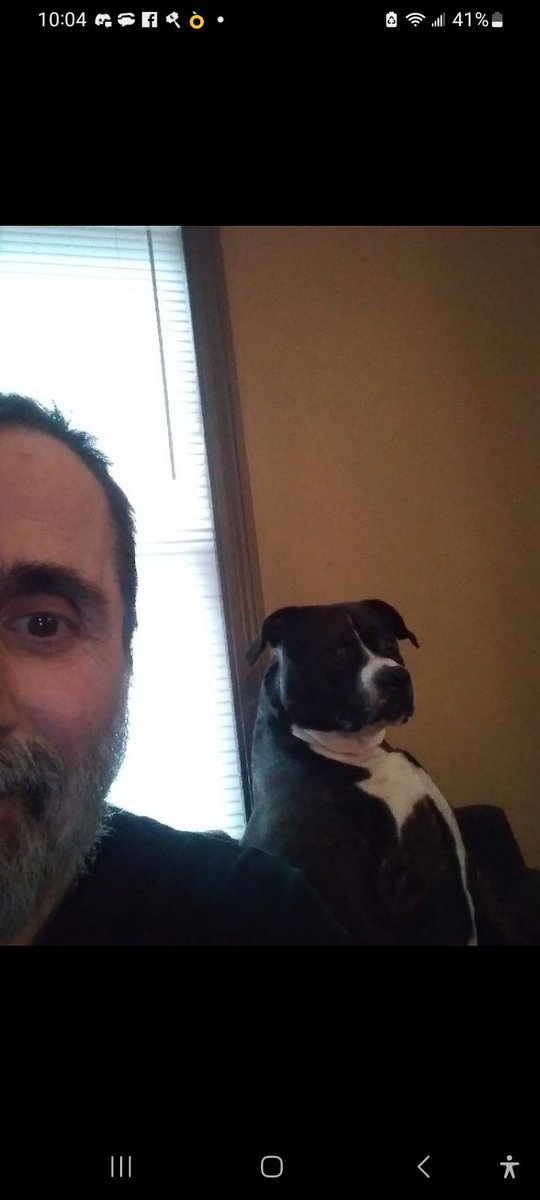 mickidefoy's tweet photo. @StephenKing Gotti,  our local resident skinwalker, says "hey now 💜💜💜" https://t.co/3yRh5PfA6G