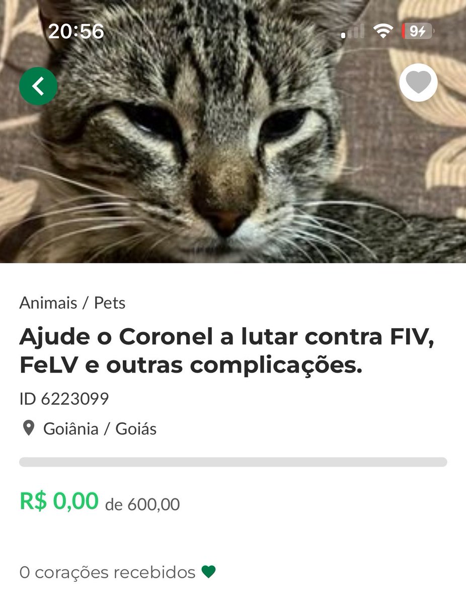 theweknds's tweet photo. o coronel ainda não conseguiu nenhuma doação na vakinha 💔 consegui 75 reais pelo pix, porém ainda preciso de 45 reais pra pelo menos levar ele na consulta que é R$ 120. Qualquer valor ajuda, 1 real já faz a diferença!

pix: 62982026857 (paula jordana)

https://t.co/s9NJjlRG8o https://t.co/TdNnPQWu3g