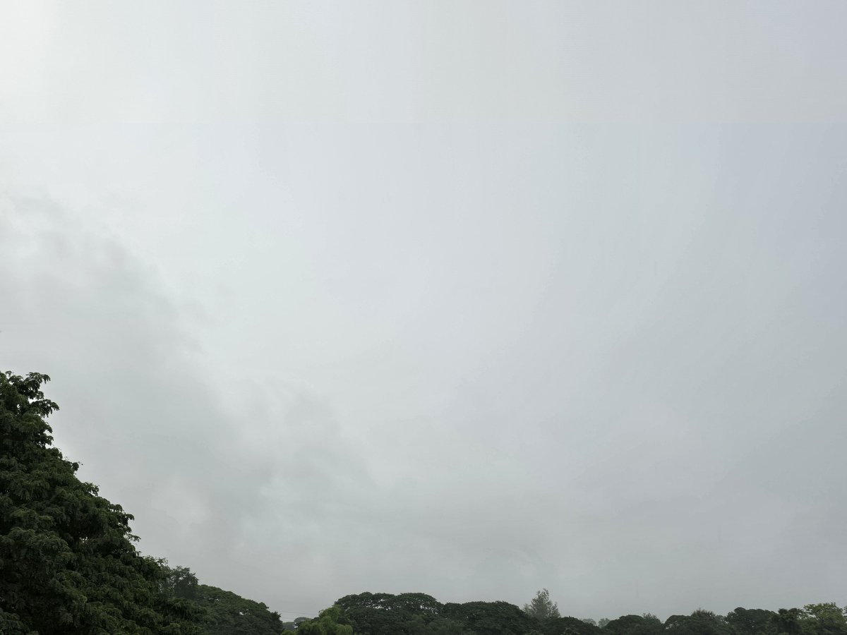 chettanaa's tweet photo. おはようございます。今朝のチェンマイは雨。気温は24度で予想最高気温は30度、湿度97%。昨夜から降ったりやんだりで今もウォーク&amp;ジョグしようとスクーターで走り出したら雨が激しくなり家に戻って来ました。すっかり調子が狂っちゃったけどゆっくりコーヒーでも飲みながら今日の予定を考え直そう https://t.co/H952ukwK6q