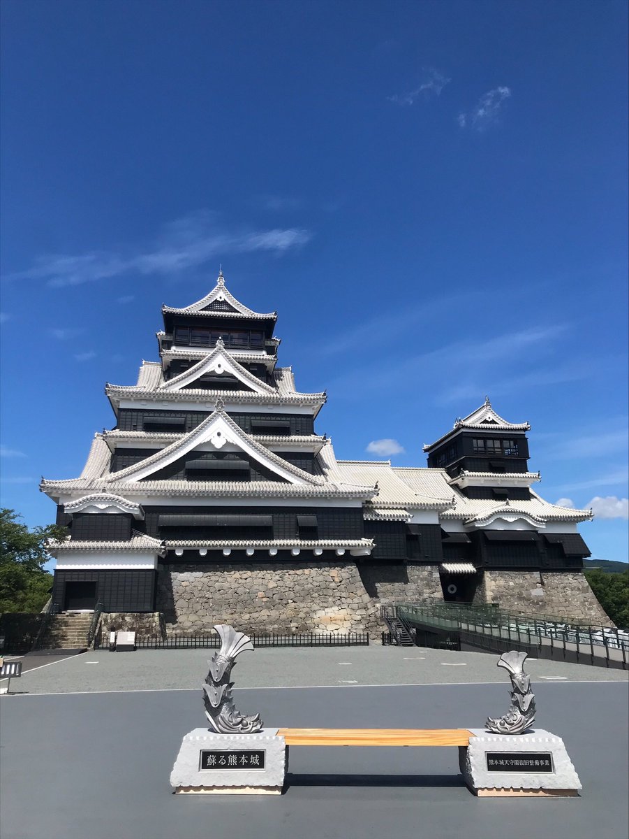 kumamoto_castle's tweet photo. おはようございます。
朝からセミの大合唱で夏だなぁと思いますね。
とはいえ、暑すぎませんか…？ https://t.co/W7S7aeSemp