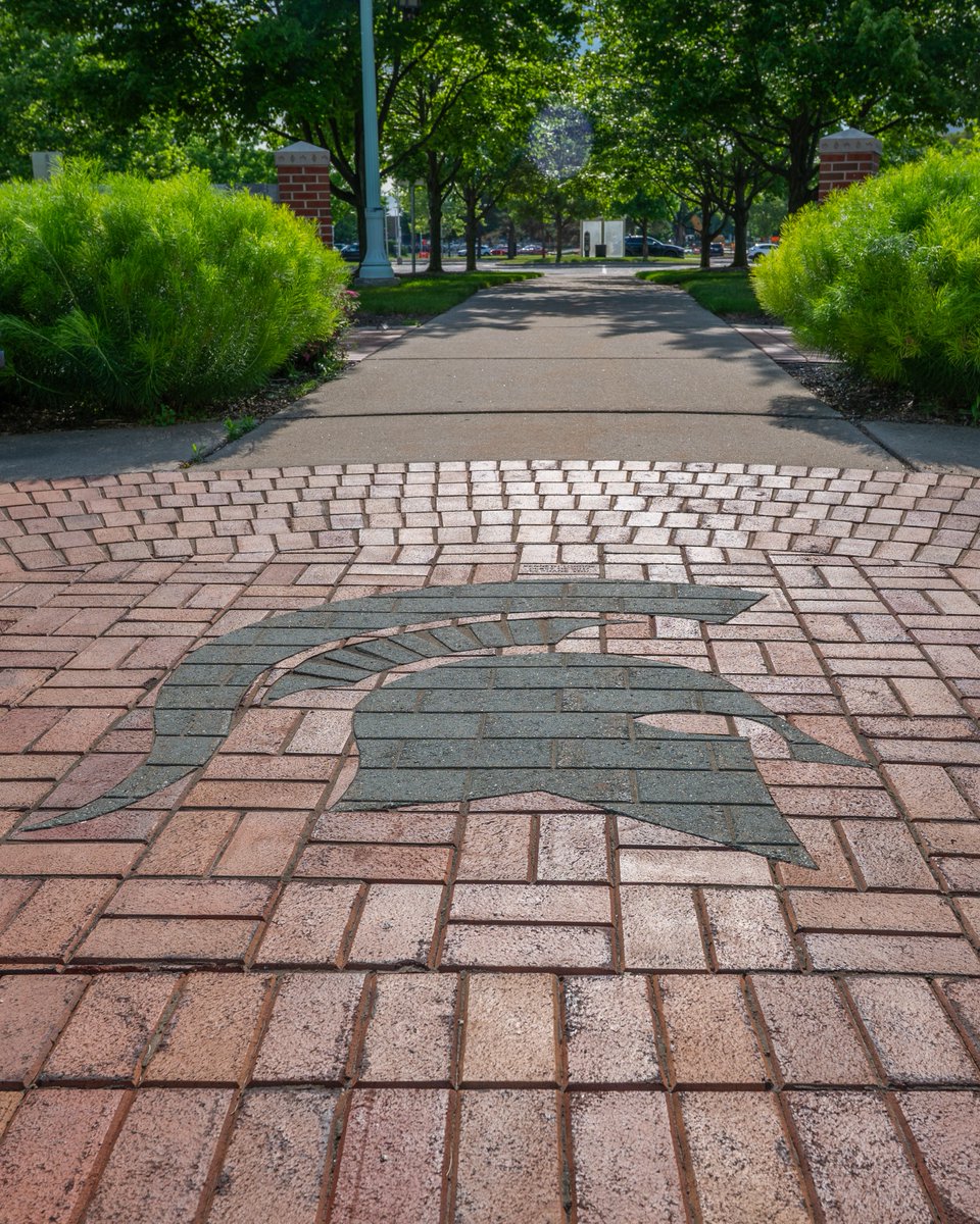 michiganstateu's tweet photo. Home is where the helmet is. https://t.co/WY5d3EMSXm