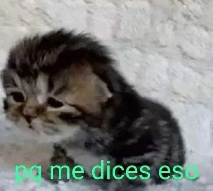 k0hdy's tweet photo. Yo después insultar a esa persona y q me respondiera igual de culero https://t.co/mGv9fXispu