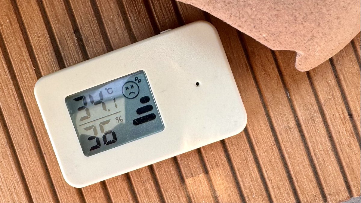 sakananote1's tweet photo. 埼玉県戸田市
朝9時、ビオトープ周辺、34°☀️ https://t.co/a5t5TrsyXm