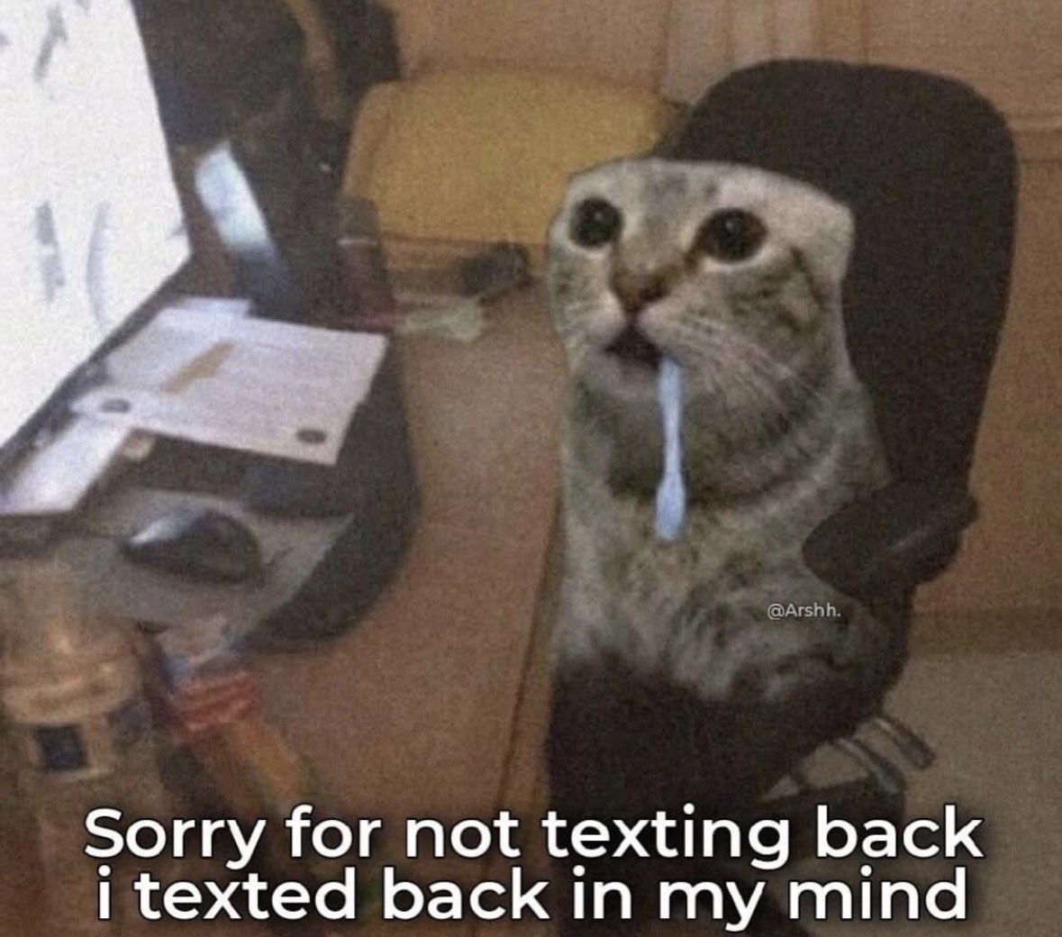 literallymecats's tweet photo. https://t.co/mzWnoaAFGH
