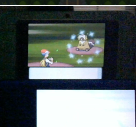 Bleddyn23's tweet photo. My #SafariWeek2026 shiny #4 appeared after 2,112 encounters! This is my first Bibarel I have caught and he is quirky nature - of course I drew him too. My bunny Sylvester was cameoing this one #safariweek https://t.co/ma5yXmedAU