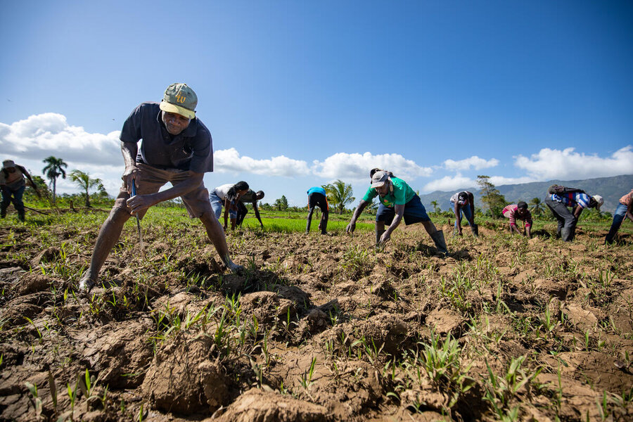 SLussaint98292's tweet photo. 📍🎥 | Le RGA révèle une réalité majeure : 73,9 % des exploitants haïtiens cultivent moins d'un Cx  de terre, avec une SAU moyenne de 0,72 Cx par exploitation

 Le morcellement des terres demeure un défi structurel pour l'agriculture haïtienne🌿

#AgricultureHaiti #RGA  #MANRDR🌱 https://t.co/NhtTdid7g7