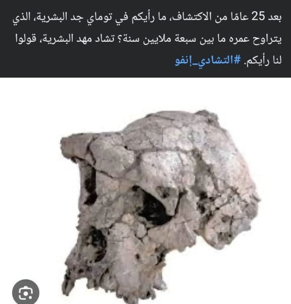 Abakar tweet media