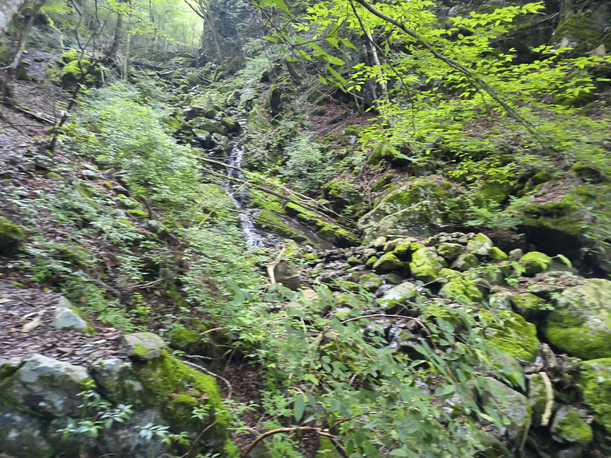 high_calo's tweet photo. 仕事の前に友人と山登り。
山頂はガスガスで富士山も見えん。
トレーニングと銘を打っているが、こりゃ暑さに耐える苦行だ🥵 https://t.co/NlLXi54X53