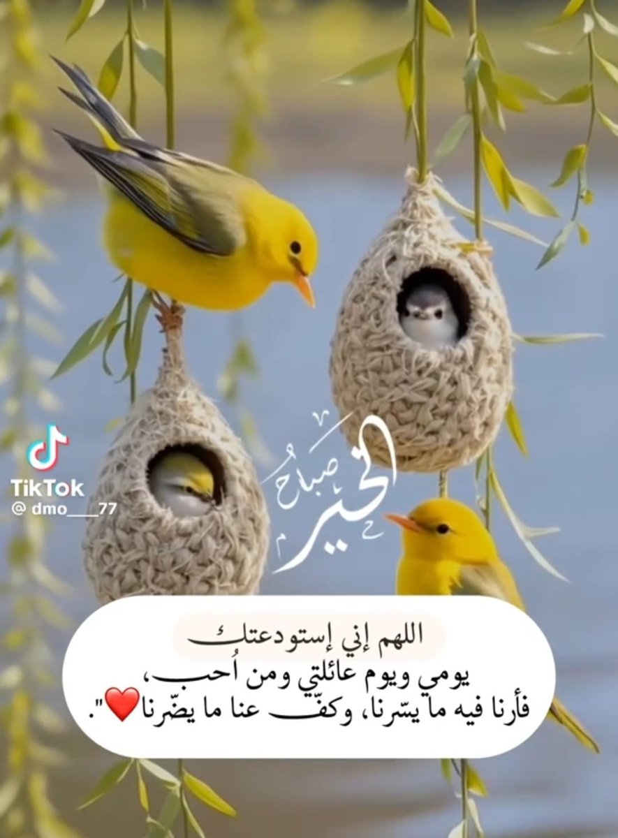 bsmtaml72914022's tweet photo. 🦋 يــــــــــــارب صباحٌ جميل، تسبق فيه رحمتك كل  أمورنا وترافقنا بركتك

          صباح الخير 🦋 https://t.co/SS21Rp6r4c