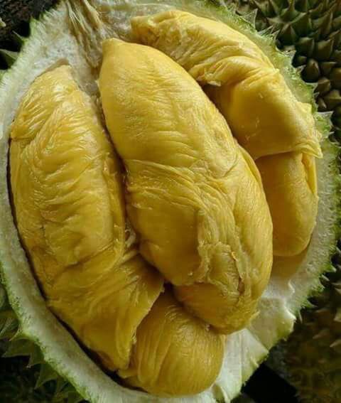 biru tweet media