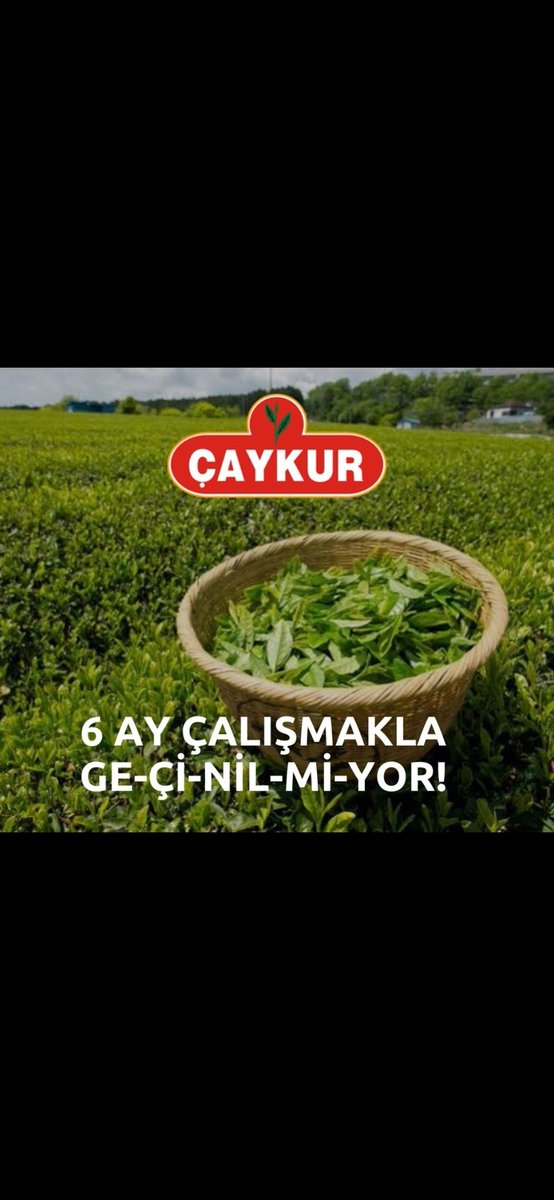 CAYKURCALISANI's tweet photo. @haberglobal #yenigün

@selvergozuacik 

@RTErdogan 

@avharunmertoglu 

@muhammedavci53 

@YilmazKATMER 

@tcbestepe 

@Akparti 

Bu Şartlarda ev gecindiremiyoruz emekli olmamız bile çok zor.
Sesimizi duyurun @selvergozuacik bey https://t.co/REwQBEI2FH