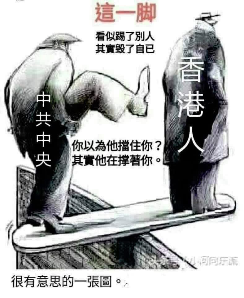 悉尼閑人 tweet media