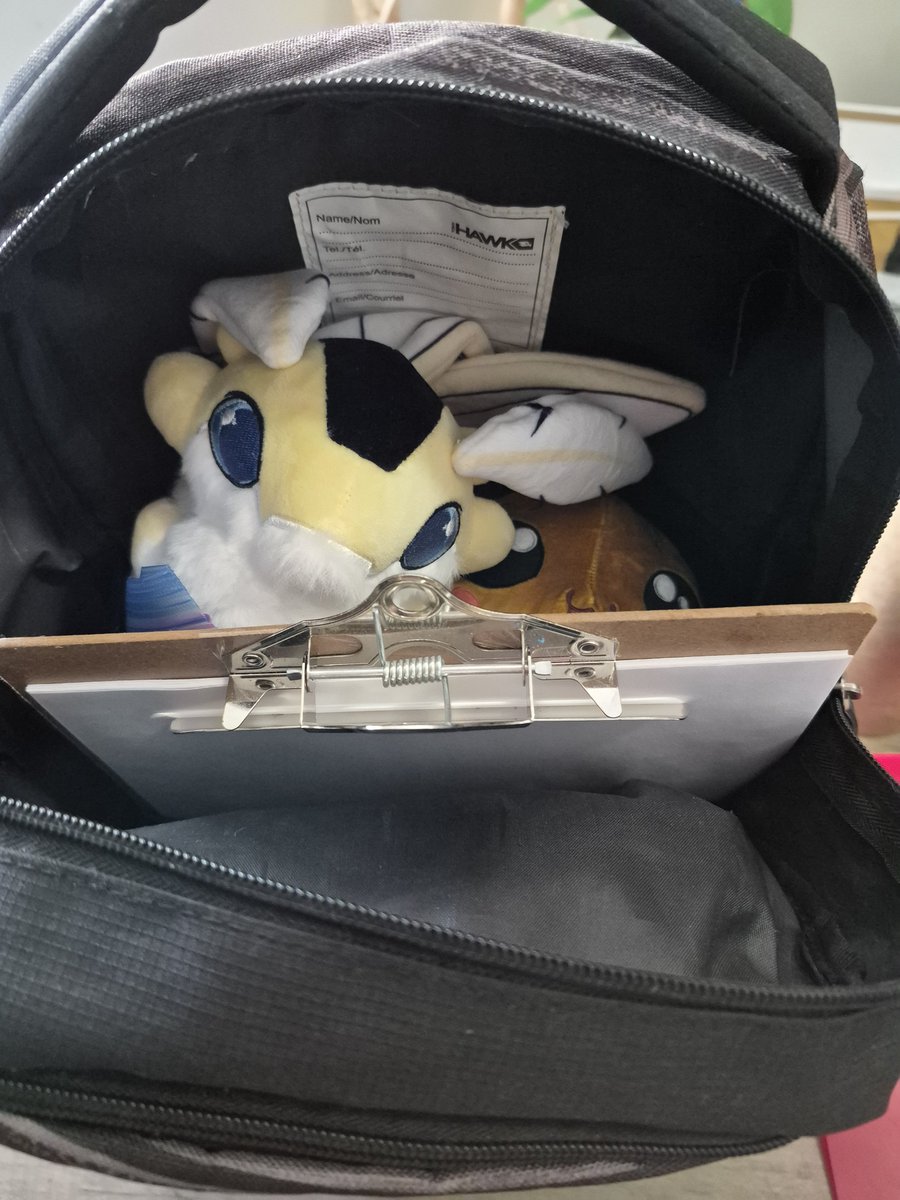 MungoBurrows's tweet photo. I'm starting my trip to San Jose for @OffKaiExpo, and brought some travel companions. 

See you in like 16hrs😎 https://t.co/24qDUCwB8Q