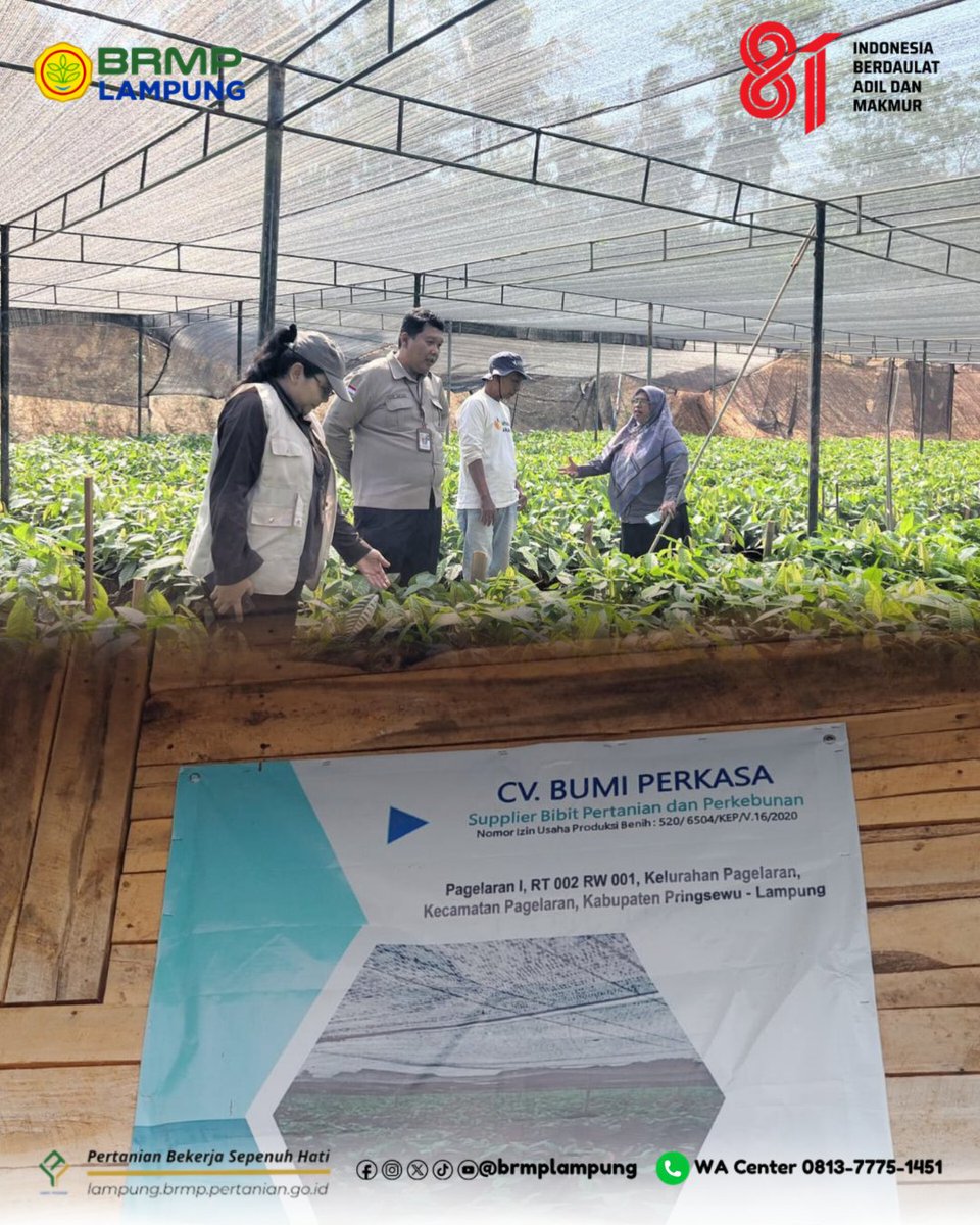 BrMPLampung's tweet photo. BRMP Lampung Lakukan Verifikasi Penyedia Benih Kakao Dukung Program Perkebunan

Tabikpun!
Salam dari Bumi Lampung🙏 

BRMP Lampung melaksanakan pendampingan dan verifikasi awal terhadap salah satu penyedia benih perkebunan, yakni CV. Bumi Perkasa di Desa Sidodadi. https://t.co/pyRz0FOJ3E