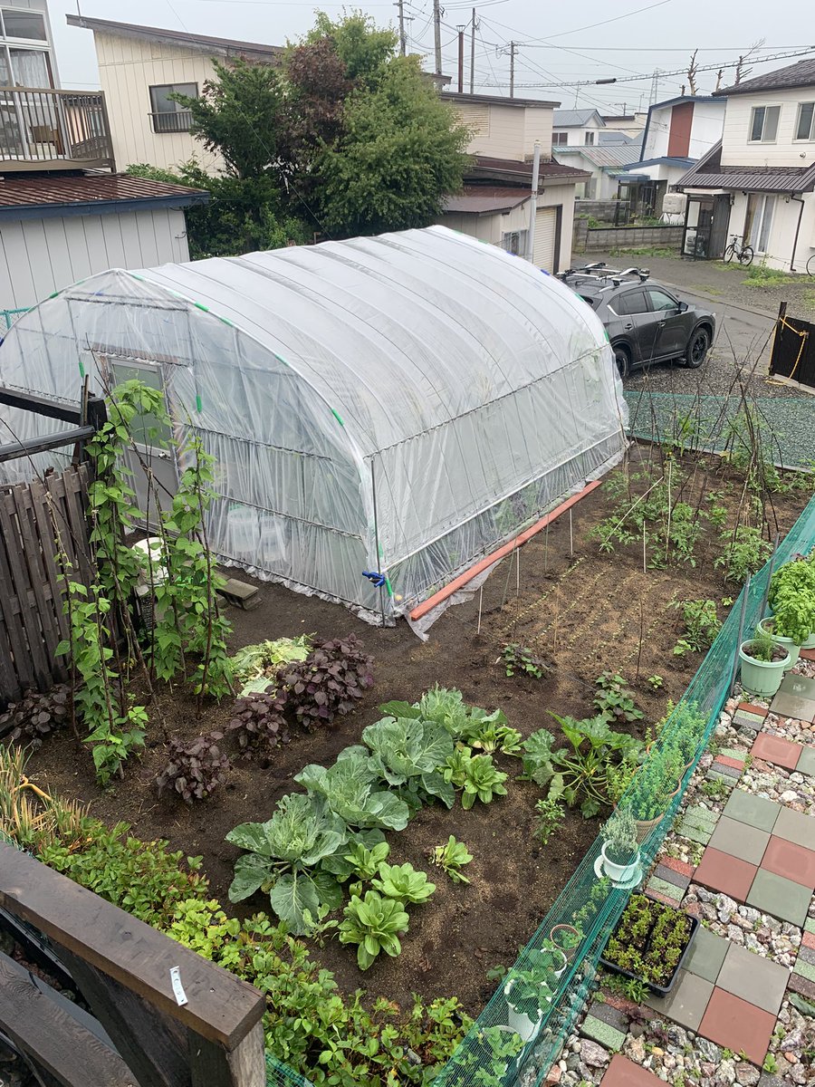 tdkyk256's tweet photo. 雨いっぱい降ってるのに水やらなくちゃならない問題！？ https://t.co/IeEGYjoxq0