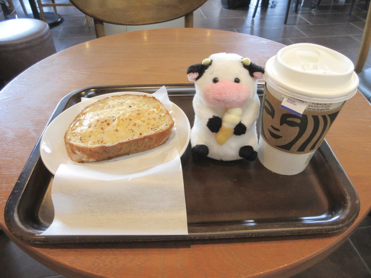 _softushi's tweet photo. うしさん、トールサイズより大きくなれるかな₍ᐢ⸝⸝´･‿･ `⸝⸝ᐢ₎ https://t.co/EzRNRodKqE
