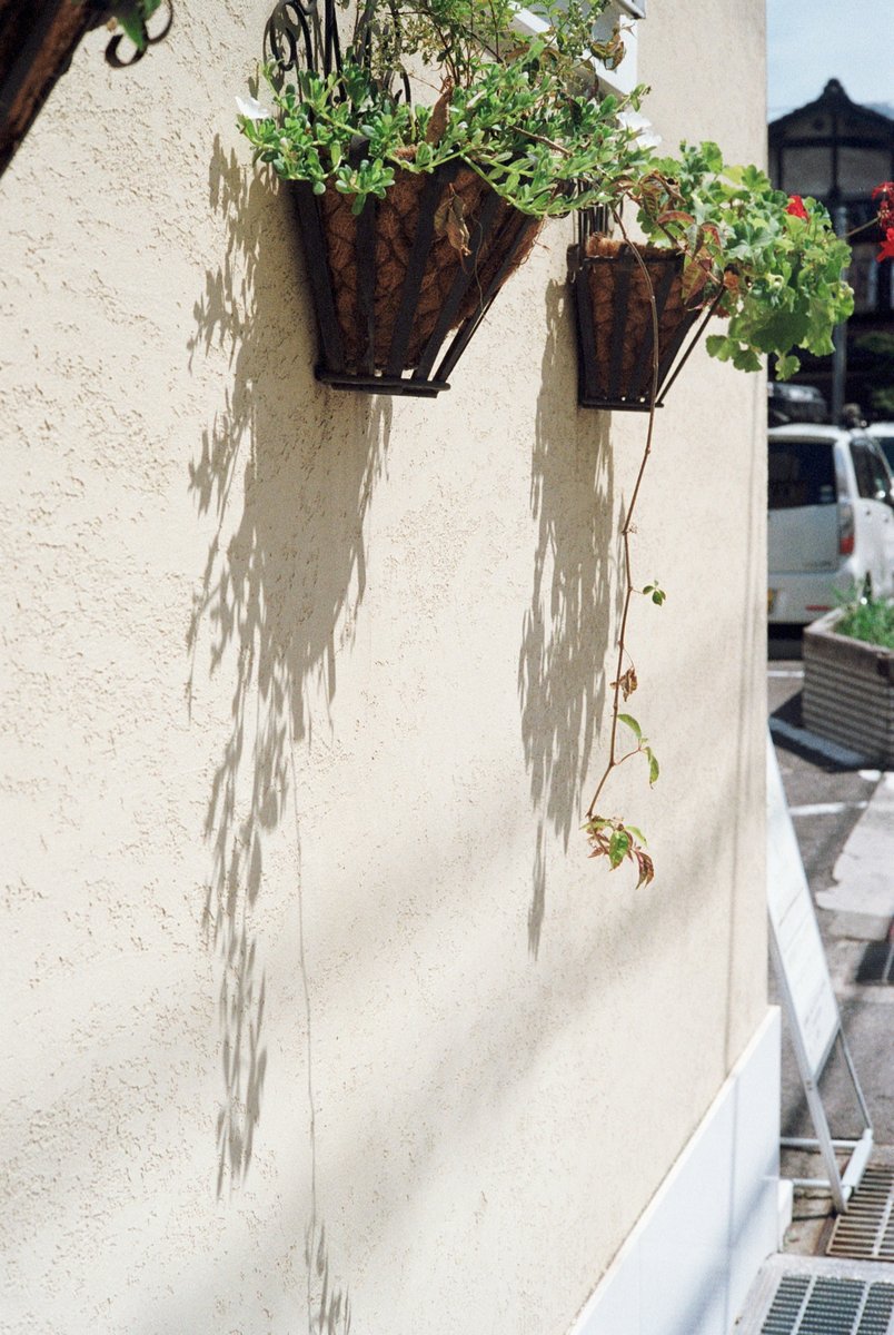 ieneko_camera's tweet photo. https://t.co/dPETyMT6Cu