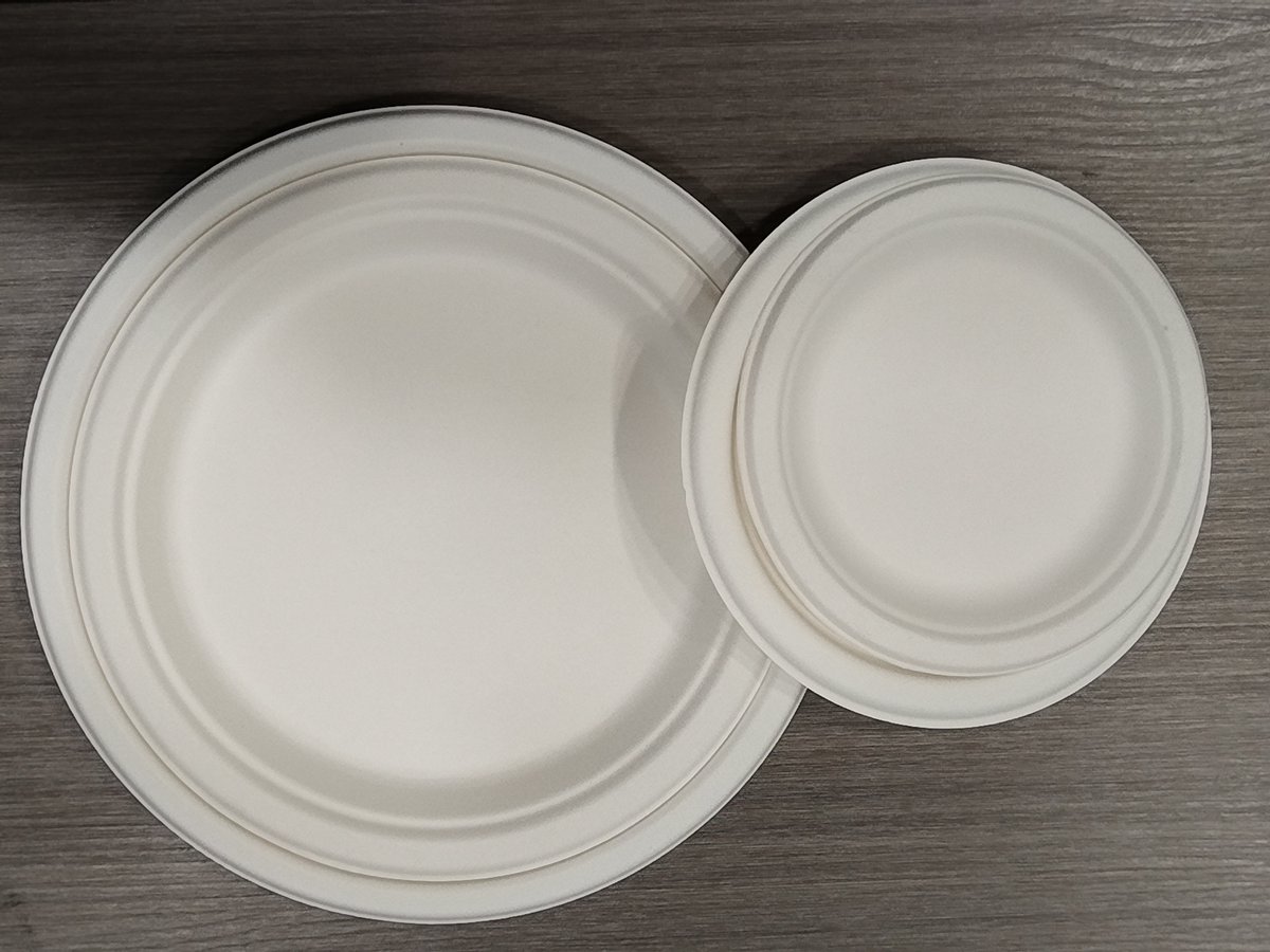 gzecopack12's tweet photo. Sugarcane Bagasse Plate
#EcopackConcept #PackagingProfessionnel #guangzhouecopack #MinimalistStyle #MorningVibes #SustainableAesthetics https://t.co/zuLJZGOmyM